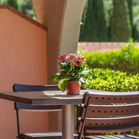 Apartamento Le Solane - Goelba